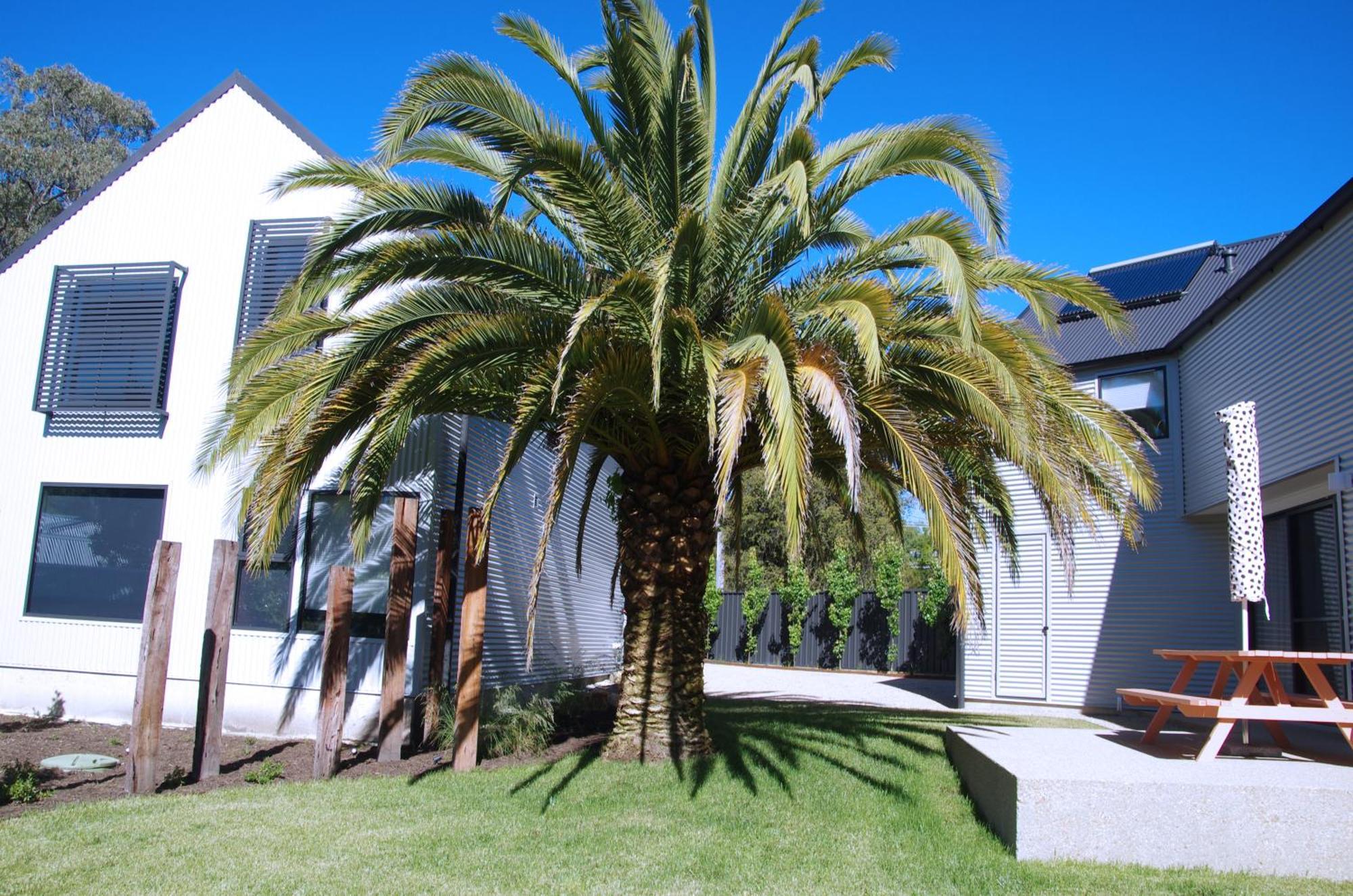 John And Jane'S Beechworth Villa Exterior photo